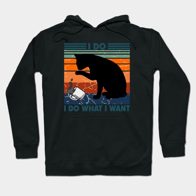 I Do What I Want Hoodie by Cartel